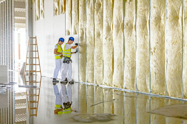 Best Fiberglass Insulation in Bonadelle Ranchos, CA